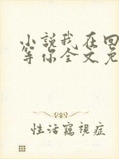 小说我在回忆里等你全文免费阅读封面