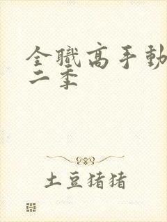 全职高手动漫第二季封面