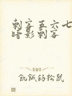 刺客五六七七大暗影刺客封面