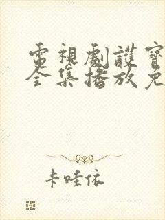 电视剧护宝寻踪全集播放免费观看