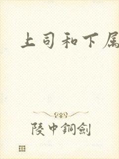 上司和下属小说