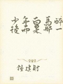 少年白马醉春风后面是哪一部封面