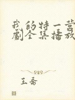 我的特一营电视剧全集播放封面