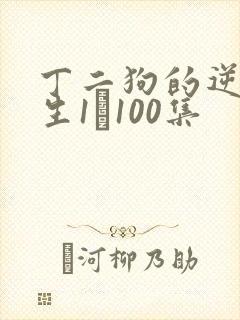 丁二狗的逆袭人生1–100集