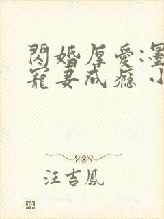 闪婚厚爱:墨少宠妻成瘾 小说