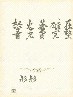 怒火英雄在线观看免费完整版高清封面