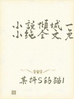 小说倾城一笑苏小纯全文免费阅读