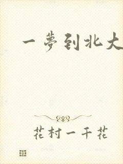 一梦到北大