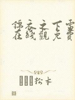 锦衣之下电视剧在线观免费观看