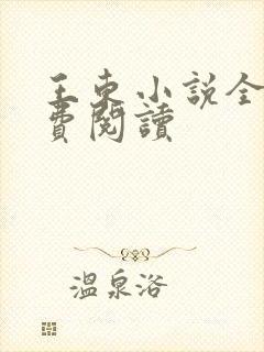 王东小说全集免费阅读