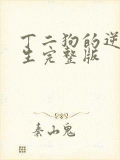 丁二狗的逆袭人生完整版封面