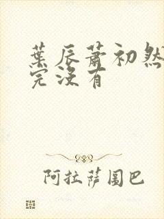 叶辰萧初然更新完没有