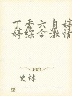 丁香六月婷婷婷婷综合激情网