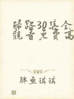 归路30集全集观看免费高清电视剧下载