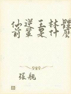 仙逆王林体内的前辈是什么境界