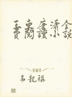 王东唐潇全本免费阅读小说