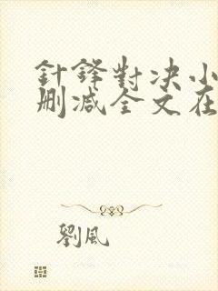 针锋对决小说无删减全文在线阅读封面