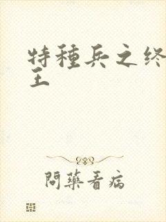 特种兵之终极兵王封面