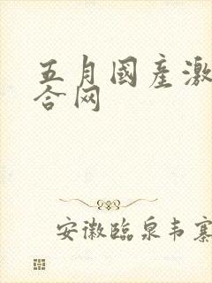 五月国产激情综合网