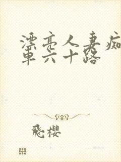 漂亮人妻痴汉电车六十路封面