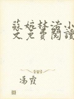 苏婉林浩小说全文免费阅读最新