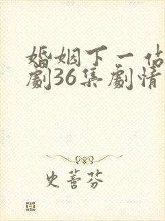 婚姻下一站电视剧36集剧情免费观看