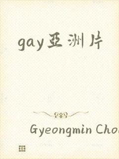 gay亚洲片封面
