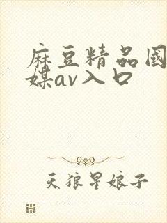 麻豆精品国产传媒av入口