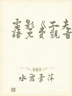 电影《工夫》国语免费观看封面