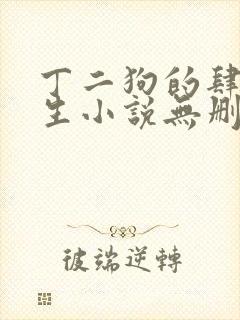 丁二狗的肆意人生小说无删减全文阅读