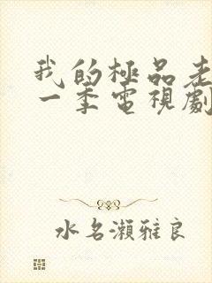 我的极品老婆第一季电视剧免费观看