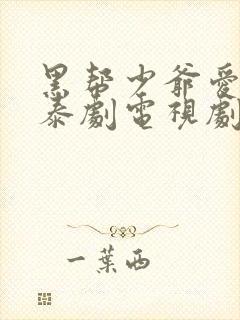 黑帮少爷爱上我泰剧电视剧在线看