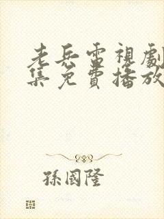 老兵电视剧66集免费播放