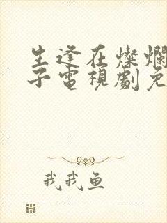 生逢在灿烂的日子电视剧免费