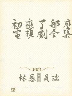 初恋了那么多年电视剧全集免费封面