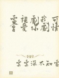 电视剧我可能不会爱你剧情介绍