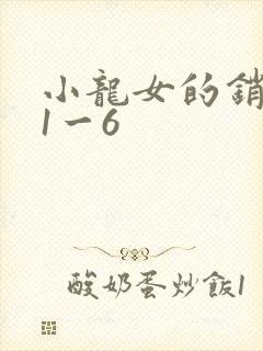 小龙女的销魂夜1一6封面