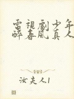 电视剧少年白马醉春风真人版