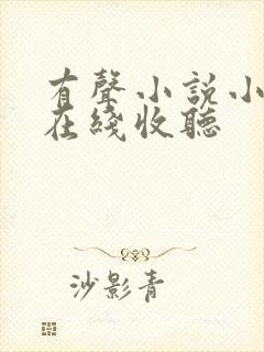 有声小说小苮儿在线收听