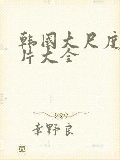 韩国大尺度伦理片大全封面