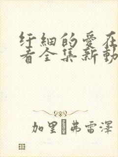 纤细的爱在线观看全集新动漫