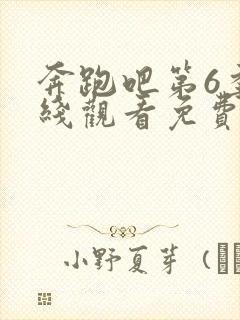 奔跑吧第6季在线观看免费版高清