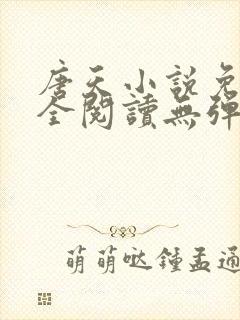 唐天小说免费大全阅读无弹窗