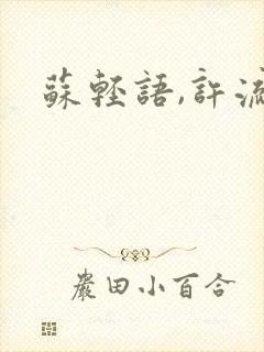 苏轻语,许流年封面