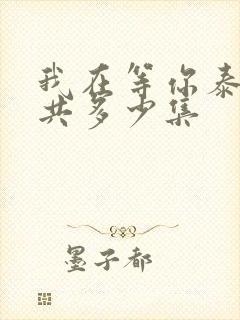 我在等你泰剧一共多少集