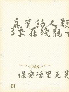 真实的人类 第3季在线观看全集免费播放