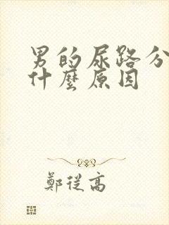 男的尿路分叉是什么原因