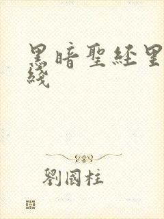 黑暗圣经里番在线