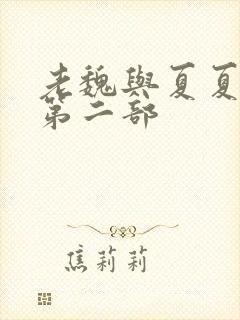 老魏与夏夏续集第二部