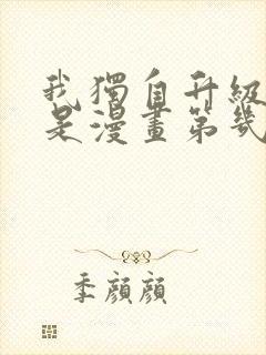 我独自升级动漫是漫画第几话封面